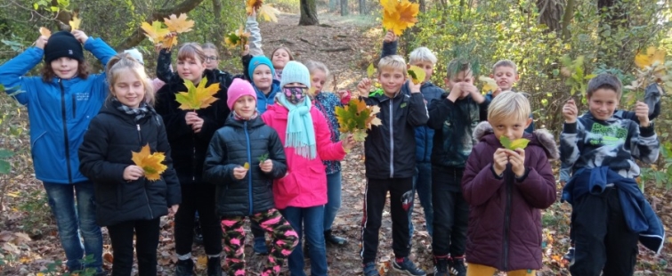 Powiększ obraz: Jesienna lekcja w lesie